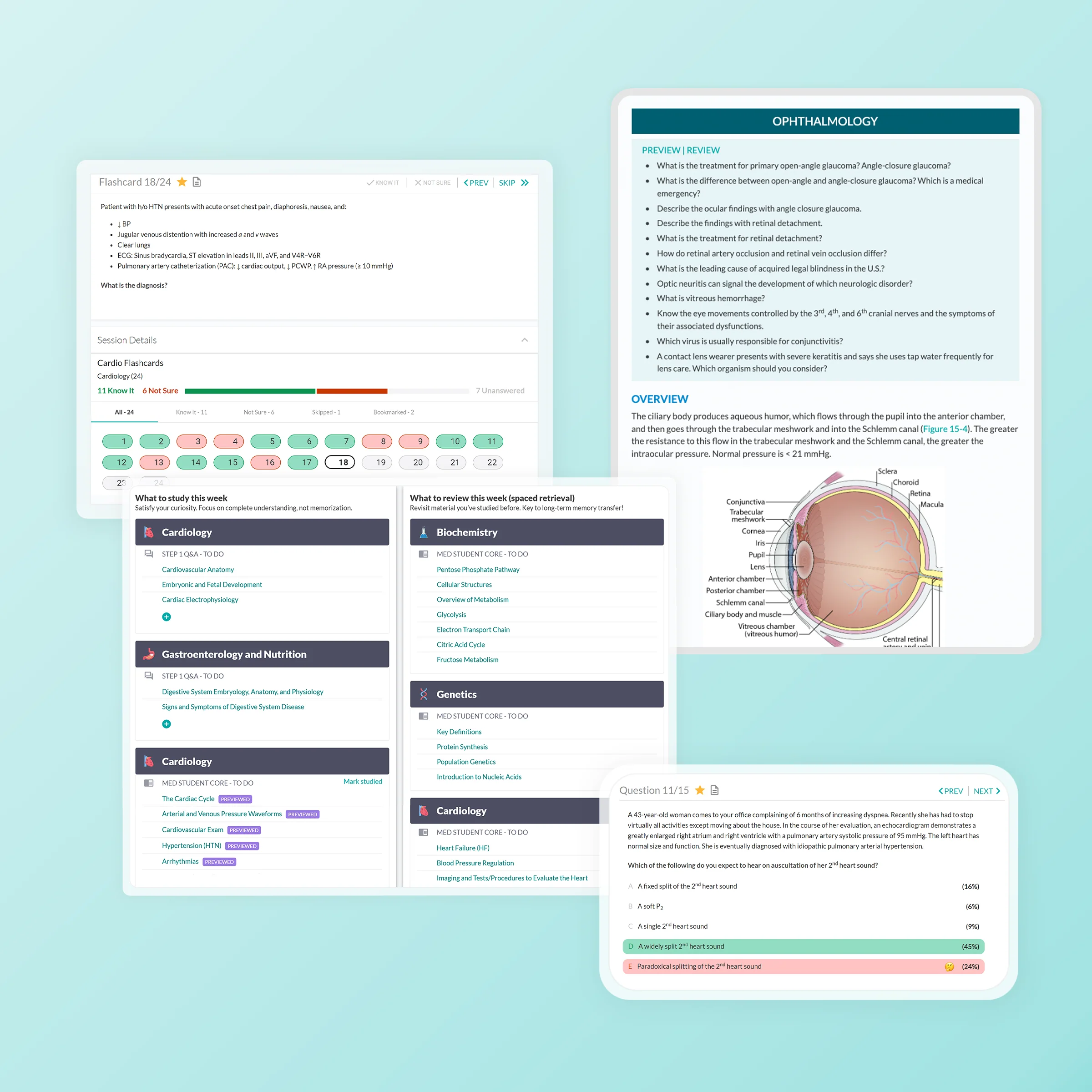 Internal Medicine Study Strong® Essentials - Image 5