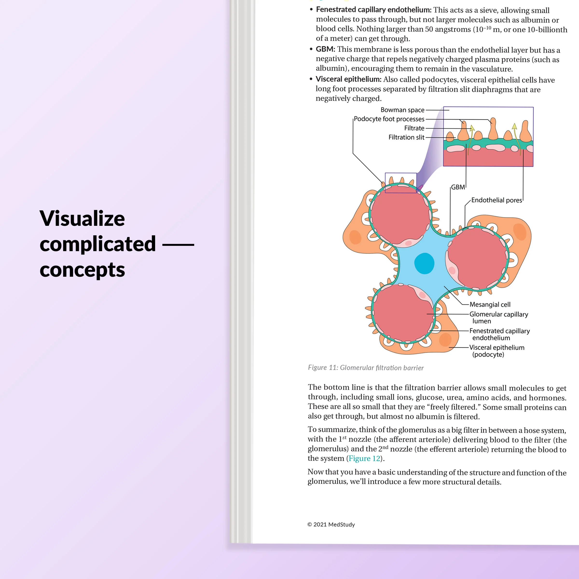 Medical Student Core - Image 3