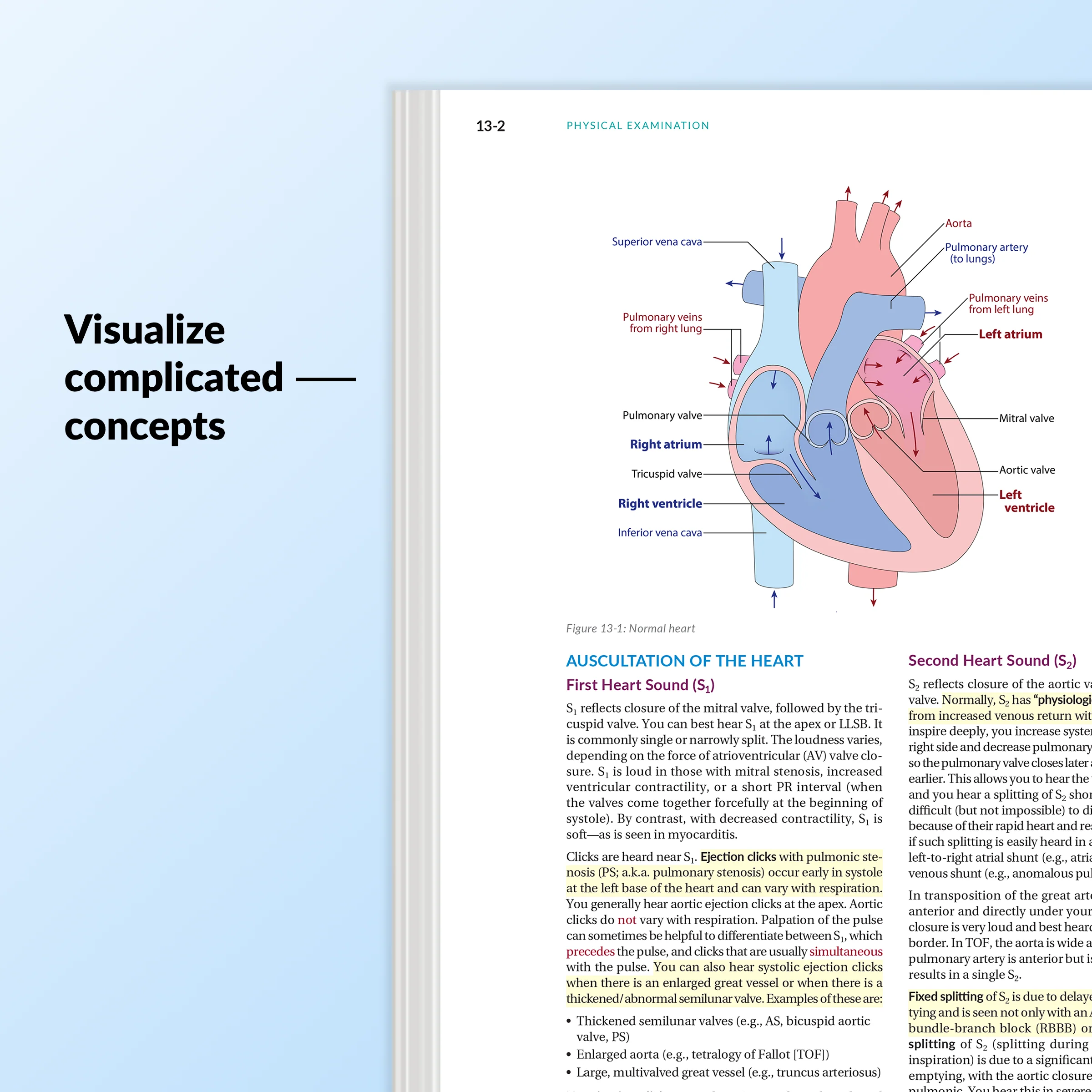 Pediatrics Core - Image 4